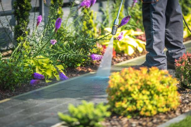 Best Restaurant Pressure Washing  in Gallitzin, PA